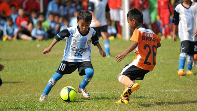 Sekolah Sepak Bola Indonesia