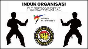 Induk Organisasi Taekwondo