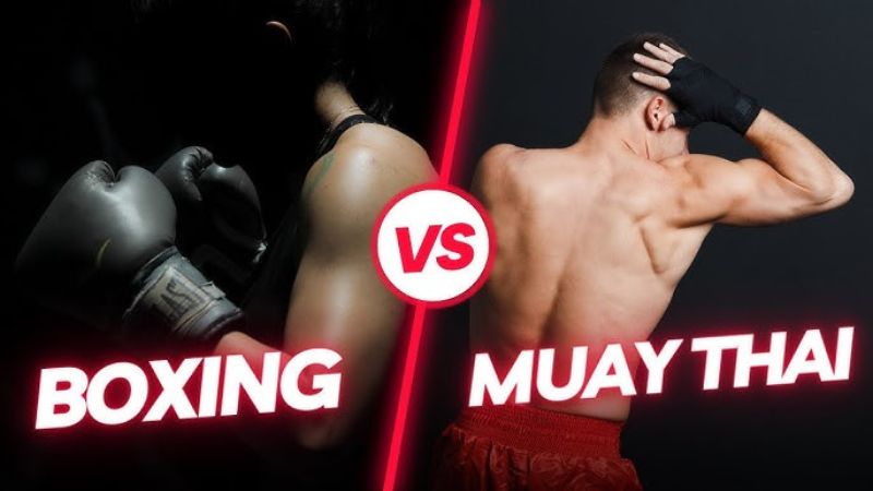 Muay Thai dan Kick Boxing