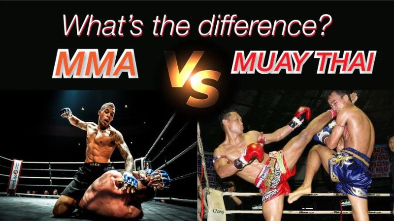 Perbedaan Muay Thai dan MMA
