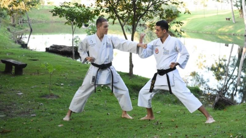 Teknik Pukulan Taekwondo