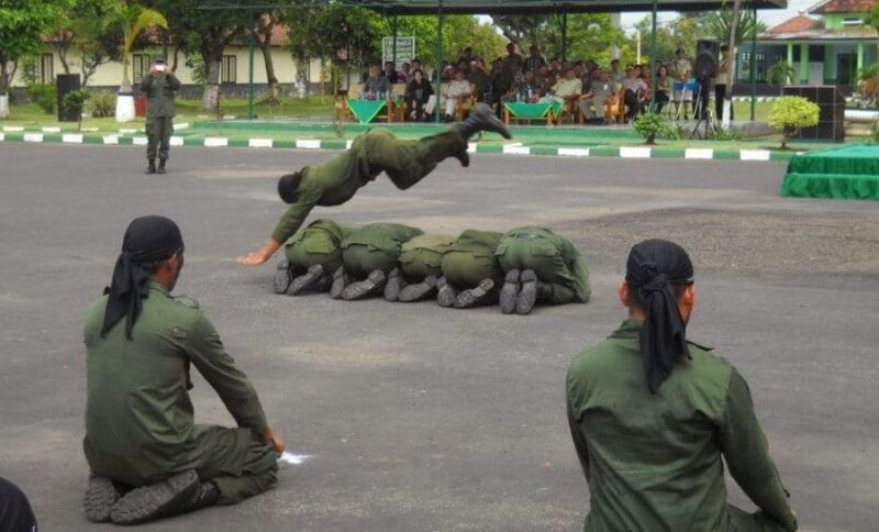 Tujuan Lompat Harimau